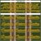 Custom Olive Brown Cream Gold-White Stripe Hockey Lace Neck Jersey