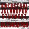 Custom White Red-Black Abstract Detroit Inspired Line Hockey Lace Neck Jersey
