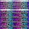 Custom Pink Black Blue-White Leopard Print Neon Hockey Lace Neck Jersey