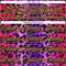 Custom Purple Navy Pink-Gold Leopard Print Neon Hockey Lace Neck Jersey