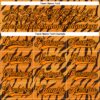 Custom Bay Orange Black Tiger Print Neon Hockey Lace Neck Jersey