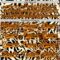 Custom Cream Bay Orange-Black Leopard Print Neon Hockey Lace Neck Jersey