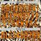 Custom Cream Bay Orange-Black Leopard Print Neon Hockey Lace Neck Jersey