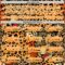 Custom Bay Orange Black-White Leopard Print Hockey Lace Neck Jersey