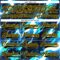 Custom Black Blue Yellow-White Lightning Hockey Lace Neck Jersey