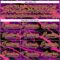Custom Purple Black Pink-Yellow Lightning Hockey Lace Neck Jersey