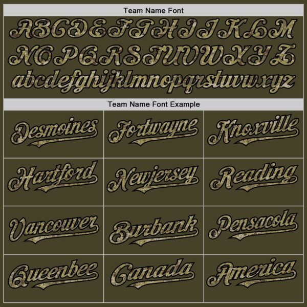 Custom Olive Camo Black-Cream Line Authentic Salute To Service Baseball Jersey