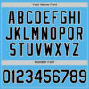 Custom Sky Blue Black-White Line Authentic Baseball Jersey