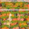 Custom Orange Grass Green-Gold 3D Syntetyc Cat And Hibiscus Authentic Baseball Jersey
