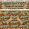 Custom Brown City Cream-Midnight Green 3D Emi Bee Cowpoke Damask Authentic Baseball Jersey