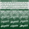 Custom White Green 3D Gradient Square Shape Authentic Baseball Jersey
