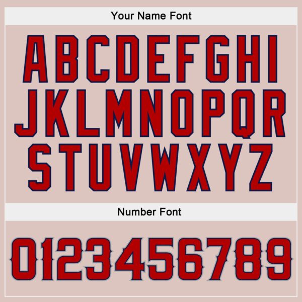 Custom Camo Red-Navy Authentic Salute To Service Baseball Jersey