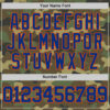 Custom Camo Royal-Orange Authentic Salute To Service Basketball Jersey