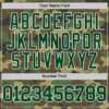 Custom Camo Green-White Authentic Salute To Service Basketball Jersey