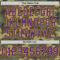 Custom Camo Purple-Gold Authentic Salute To Service Basketball Jersey