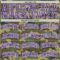 Custom Camo Purple-White Authentic Salute To Service Basketball Jersey