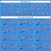 Custom Electric Blue Royal-White Authentic Baseball Jersey