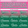 Custom Pink Kelly Green-White Fade Fashion Hockey Lace Neck Jersey