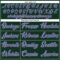 Custom Green Pink-Light Blue Authentic Baseball Jersey