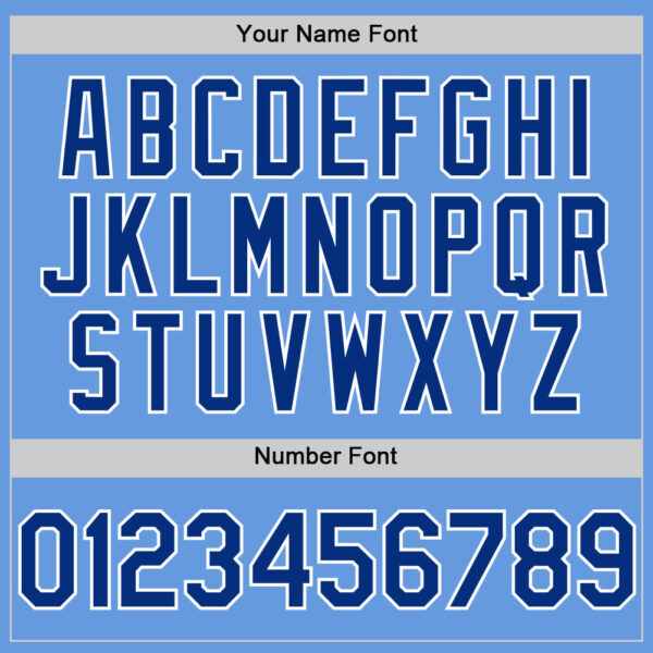 Custom Light Blue Royal-White Mesh Authentic Throwback Baseball Jersey