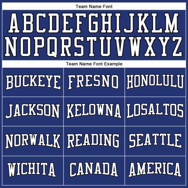 Custom Royal White-Black Long Sleeve Performance T-Shirt