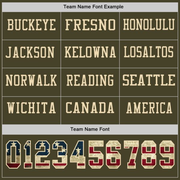 Custom Olive Vintage USA Flag-Cream Long Sleeve Salute To Service Authentic Football Jersey