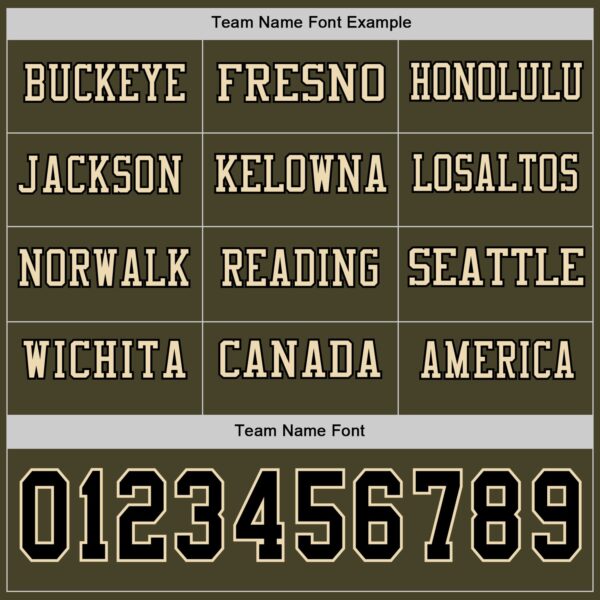 Custom Olive Black-Cream Long Sleeve Salute To Service Authentic Football Jersey