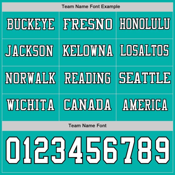 Custom Aqua White-Black Long Sleeve Authentic Football Jersey