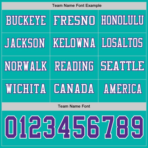 Custom Aqua Purple-White Long Sleeve Authentic Football Jersey