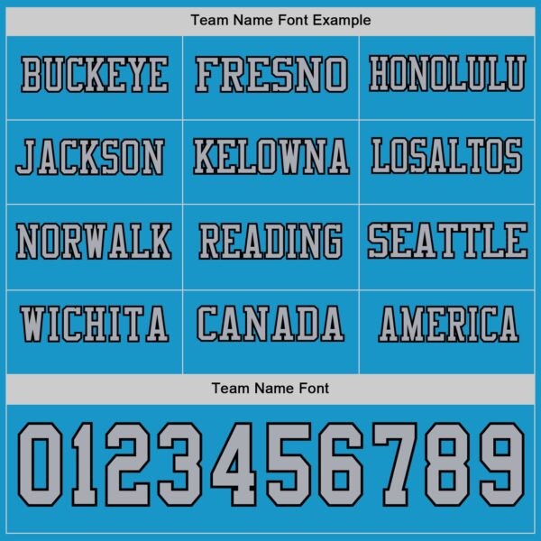 Custom Panther Blue Gray-Black Long Sleeve Authentic Football Jersey