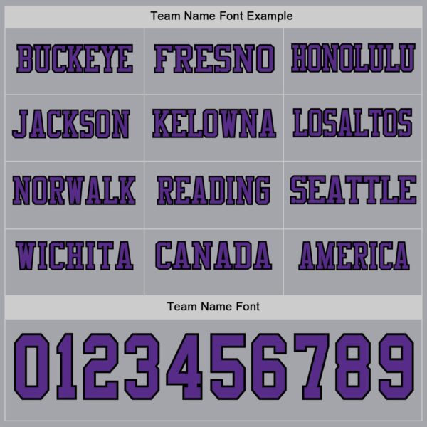 Custom Gray Purple-Black Long Sleeve Authentic Football Jersey