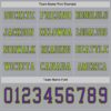 Custom Gray Purple-Neon Green Long Sleeve Authentic Football Jersey