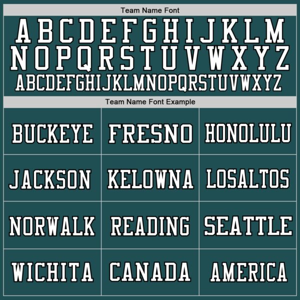 Custom Midnight Green Black-White Mesh Authentic Throwback Football Jersey