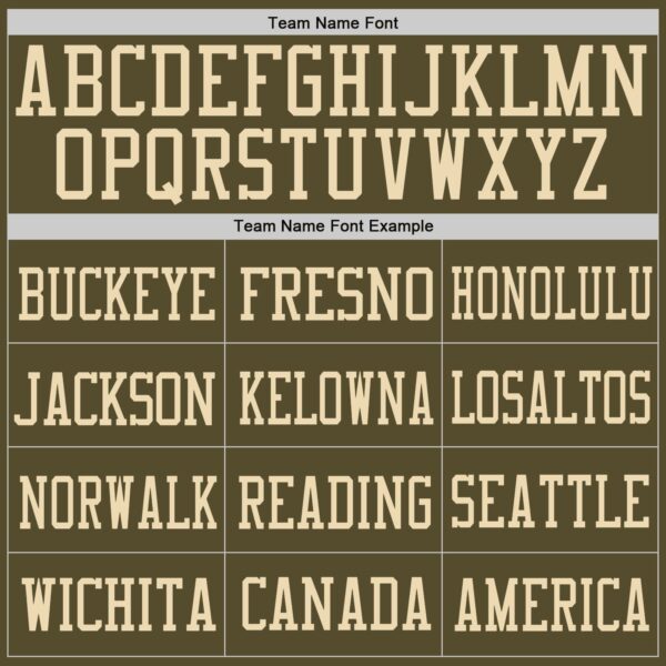 Olive0076-2_2cef2586-322d-4310-af2b-02d8a12b4b9a Custom Olive Vintage USA Flag-Cream Mesh Authentic Salute To Service Football Jersey