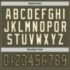 Custom Olive Camo Black-Cream Salute To Service Hockey Jersey
