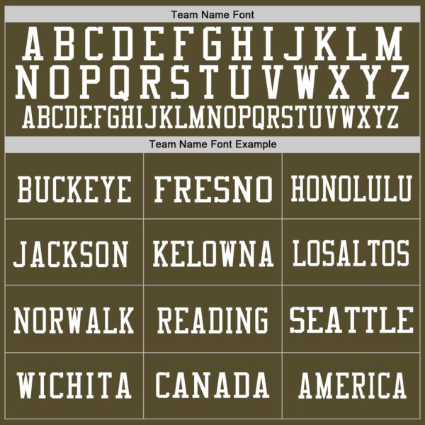 Custom Olive Vintage USA Flag-White Mesh Authentic Salute To Service Football Jersey