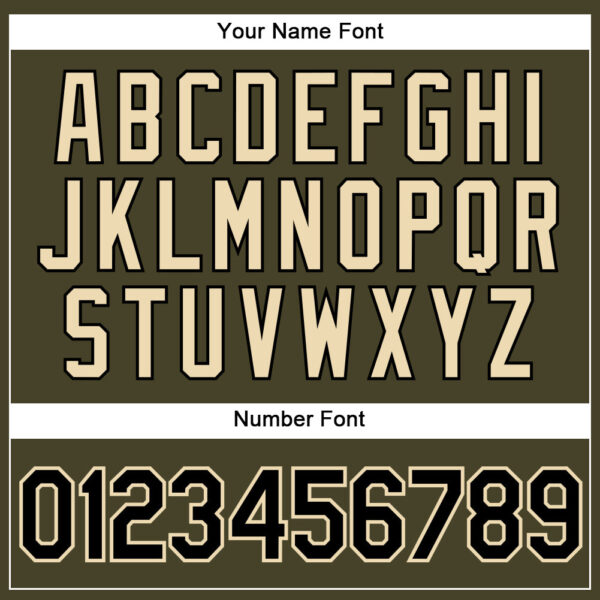 Custom Olive City Cream Pinstripe Black Authentic Salute To Service Baseball Jersey