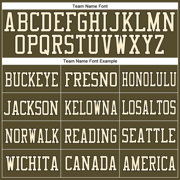 Custom Olive Vintage USA Flag Cream-Black Mesh Authentic Salute To Service Football Jersey