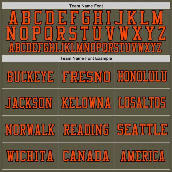 Custom Olive Orange-Black Mesh Authentic Throwback Salute To Service Football Jersey