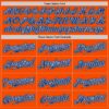 Custom Orange Royal-Black Authentic Baseball Jersey