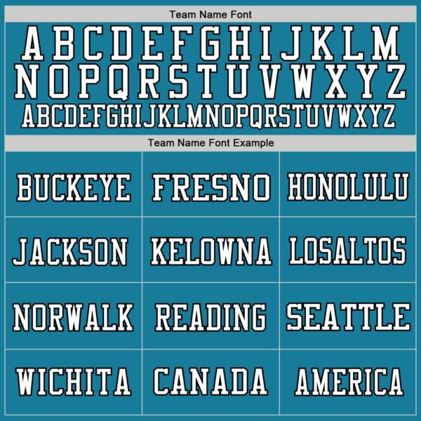 Custom Panther Blue Black-White Mesh Authentic Throwback Football Jersey