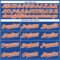 Custom Royal Orange-White Authentic Baseball Jersey