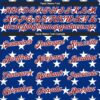 Custom Royal Red-White 3D Pattern Design American Flag Authentic Basketball Jersey