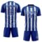 Custom Royal White Vertical Brush Stroke Stripes Sublimation Soccer Uniform Jersey