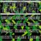Custom Black White-Green Geometric Camo Fragment Sports Sublimation Soccer Uniform Jersey