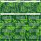Custom Green Aurora Green-White Colombia Butterfly Wings Pattern Sublimation Soccer Uniform Jersey