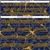 Custom Navy Gold 3D Pattern Abstract Network Two-Button Unisex Softball Jersey
