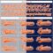 Custom Navy Orange Gray-White Split Fashion Hockey Lace Neck Jersey