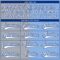 Custom Light Blue Royal Gray-White Split Fashion Hockey Lace Neck Jersey