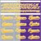 Custom Purple Gold Gray-White Split Fashion Hockey Lace Neck Jersey